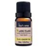 OLEO ESSENCIAL 10ML YLANG YLANG-VIA AROMA