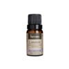 OLEO ESSENCIAL 10ML LAVANDIN-VIA AROMA